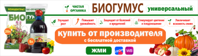 У нас вы можете купить биогумус оптом и в розницу У нас вы можете купить биогумус оптом и в розницу