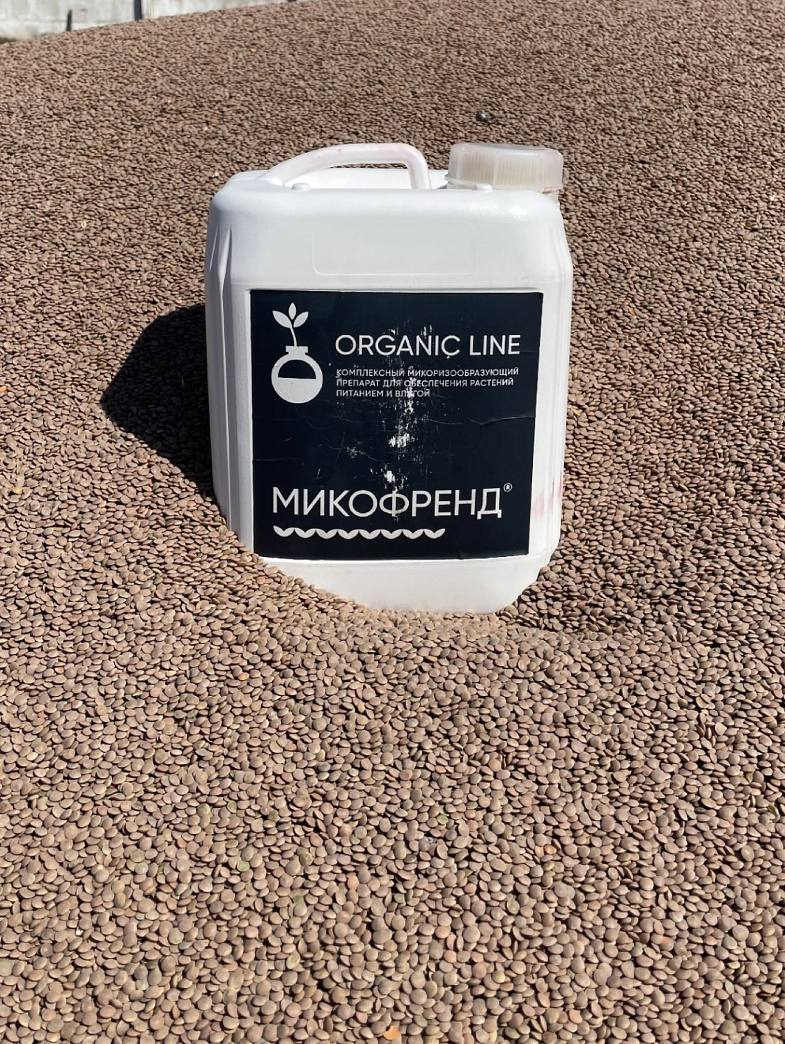 Биопрепараты для почвы: как микроорганизмы повышают урожай