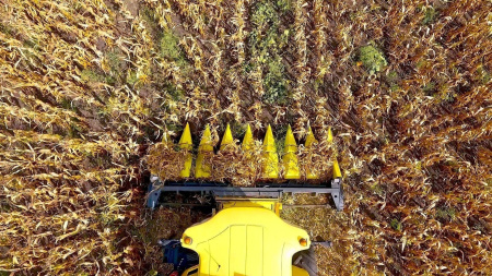 Жатка для уборки кукурузы «FLORA CORN 870»