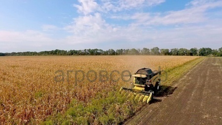 Жатка для уборки кукурузы «FLORA CORN 870»
